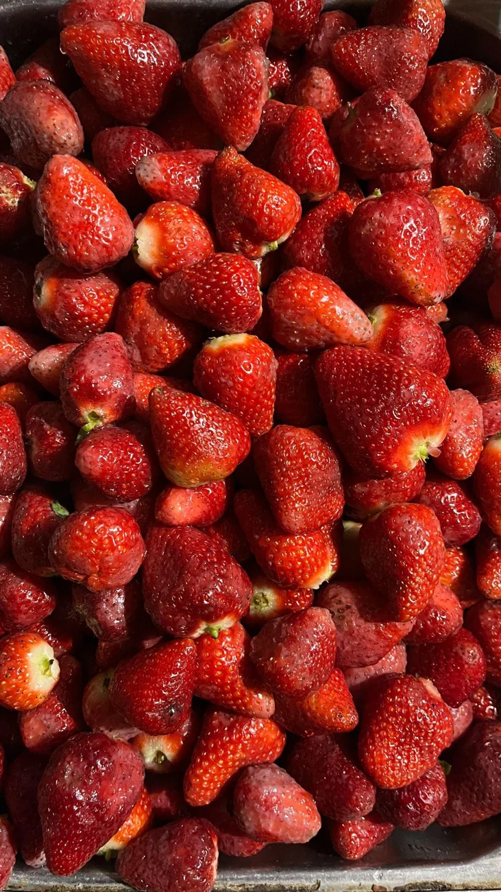 Frutillas frescas listas para la elaboración artesanal